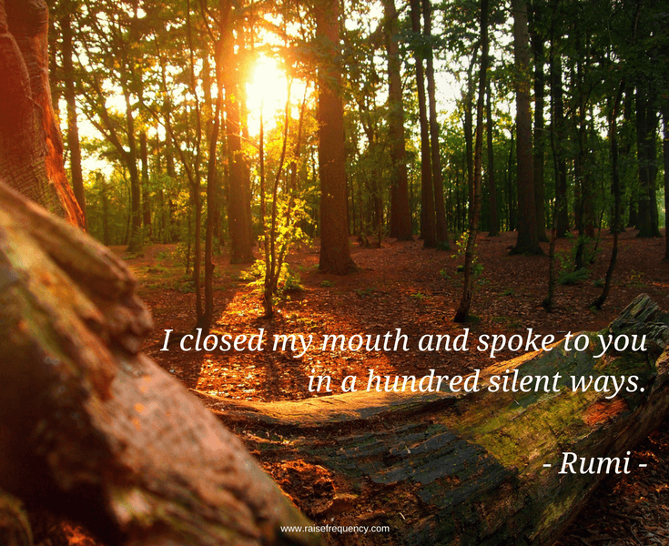 Hundred silent ways quote by Rumi